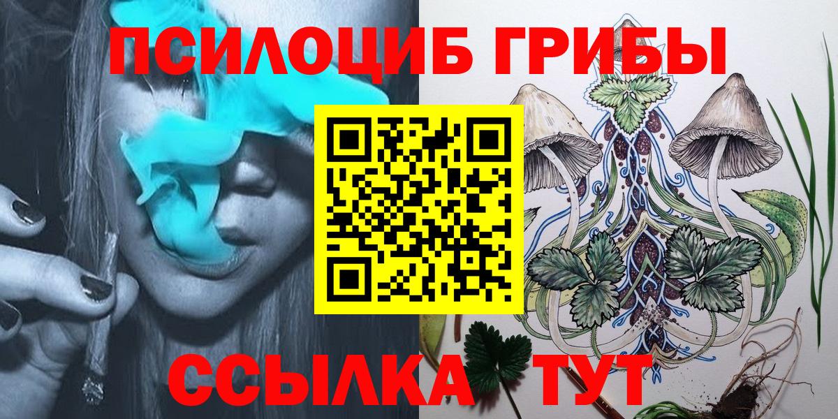 Галлюциногенные грибы Cubensis  Псилоцибиновые грибы мицелий  Камышин  Вход с VPN 